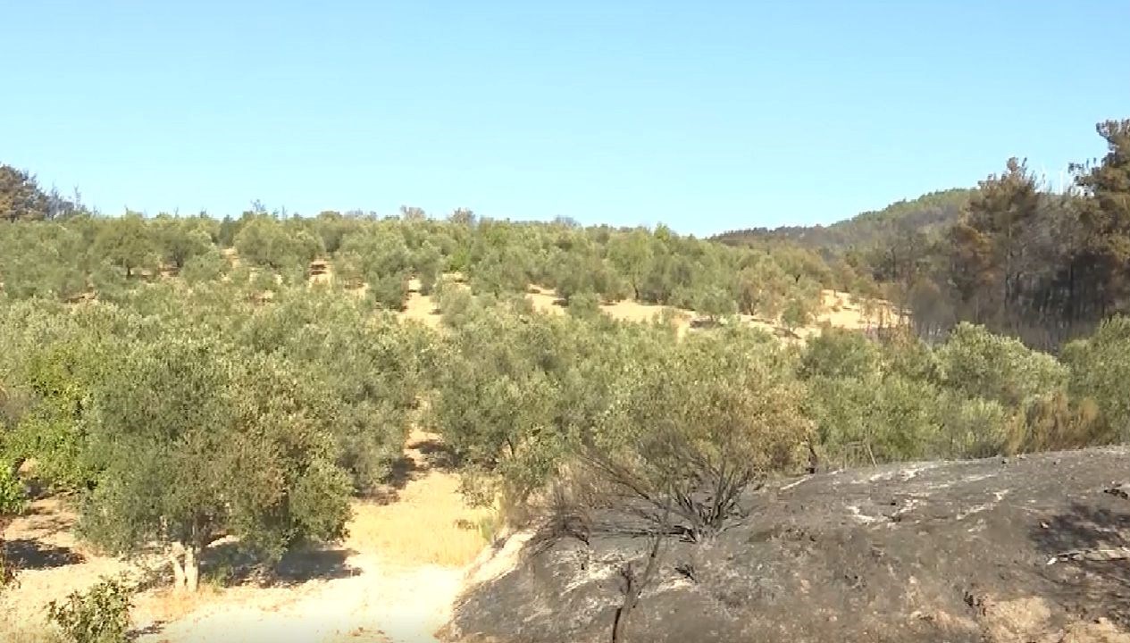 Yangının ortasında temizlik kurtardı